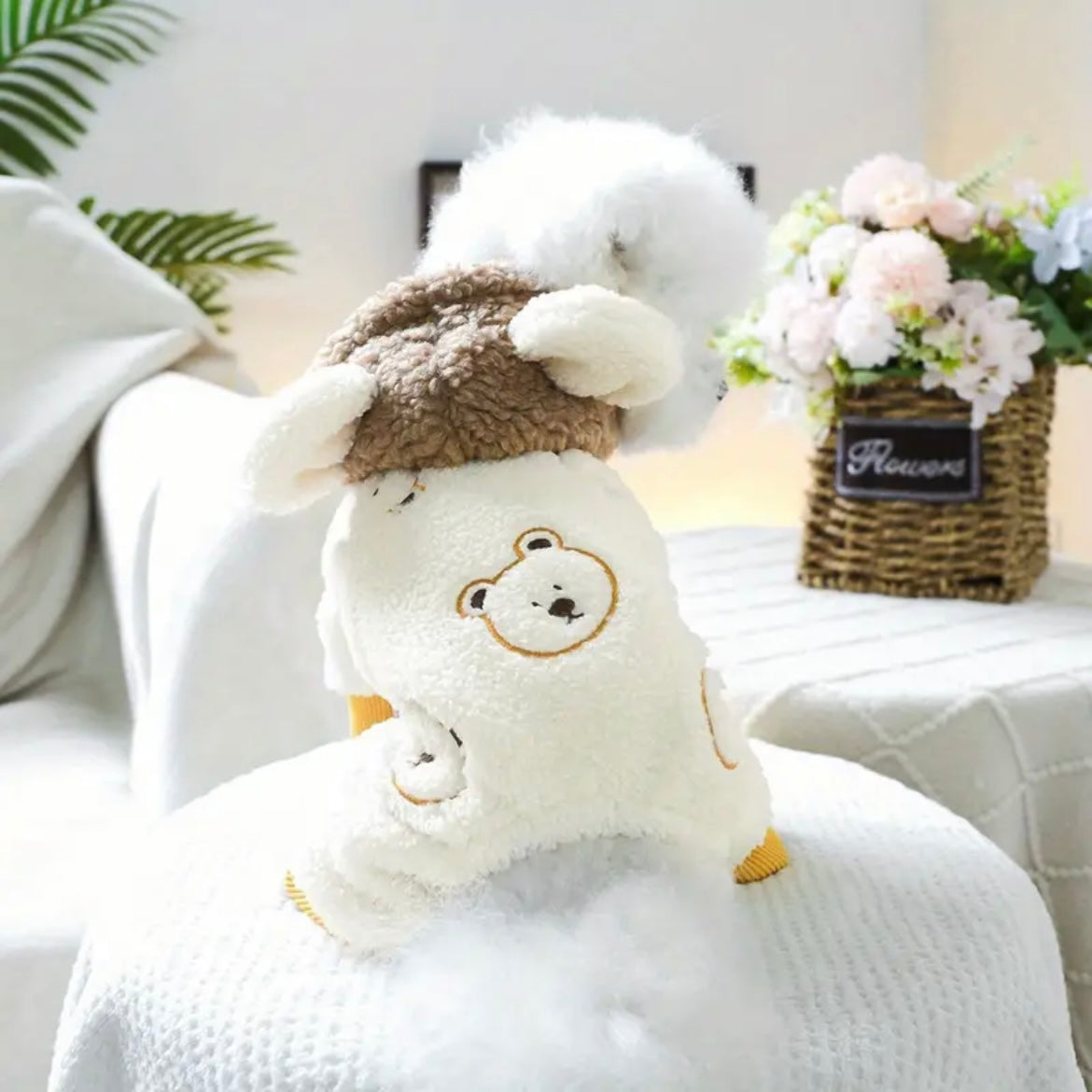 Зимен гащеризон за домашни любимци BEAR - LIMITED EDITION