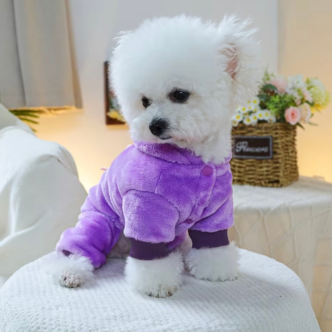 Зимен гащеризон за домашни любимци PURPLE